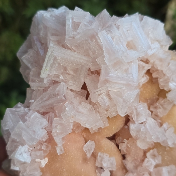 Halite Ca - Picture 4 of 4